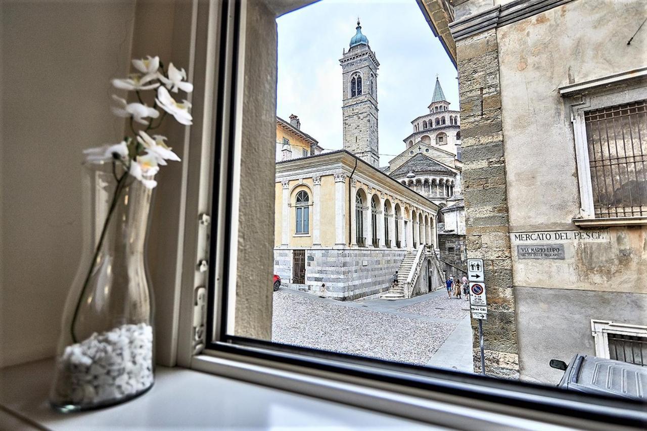 Astra-modern Loft Cathedral View Apartamento *