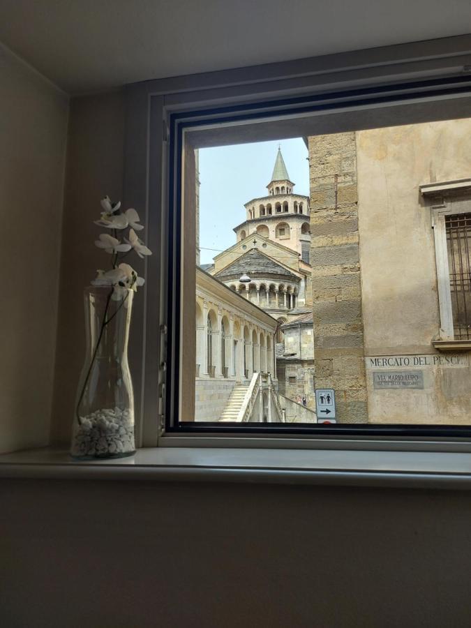 Astra-modern Loft Cathedral View Apartment Bergamo